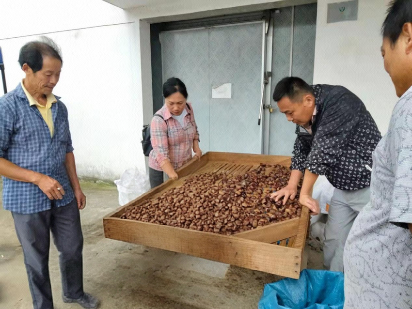 【共同缔造扩面提质】但店镇方新湾村：干群齐心 共同缔造幸福变迁.docx