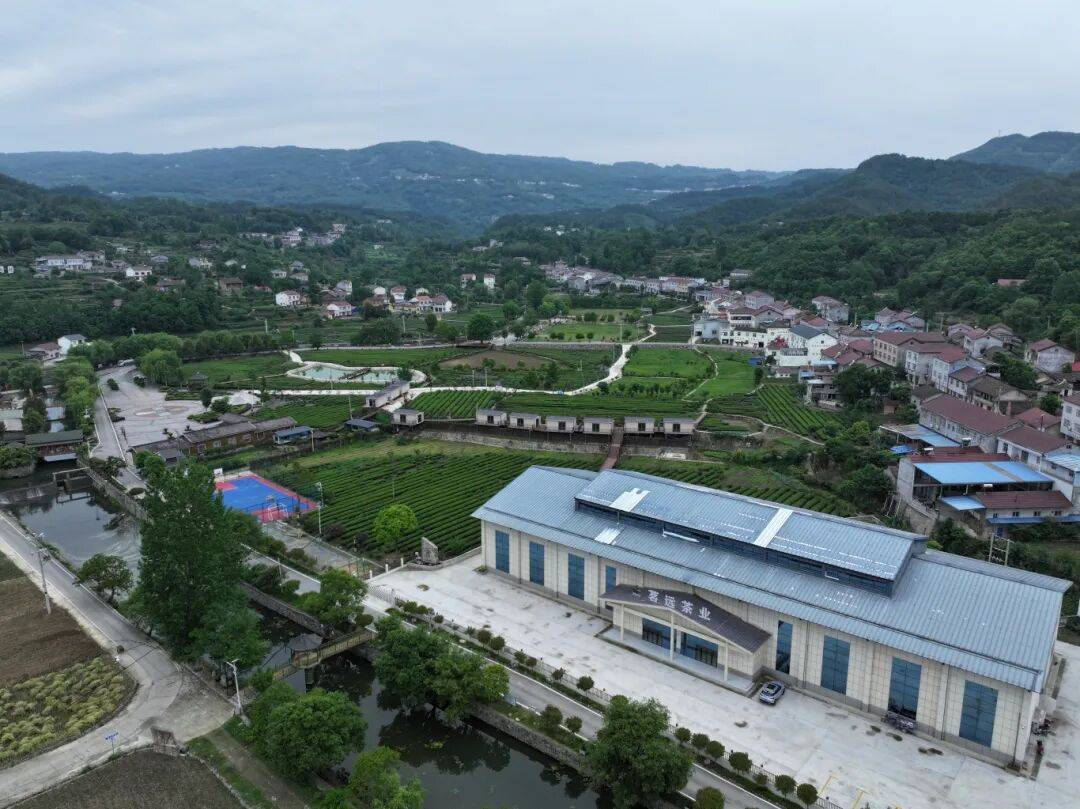 DJI_20260508152246_0089_D.JPG