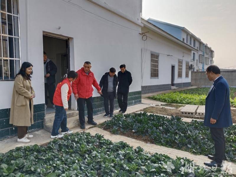 段店镇：精准服务提质增效 推动残疾人事业高质量发展