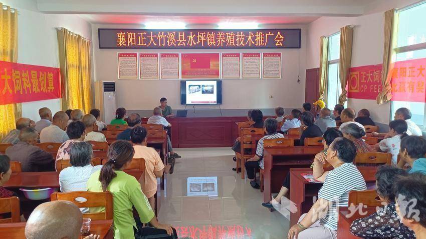 竹溪县水坪镇：优化营商“软环境”，提升经济“硬实力”.docx