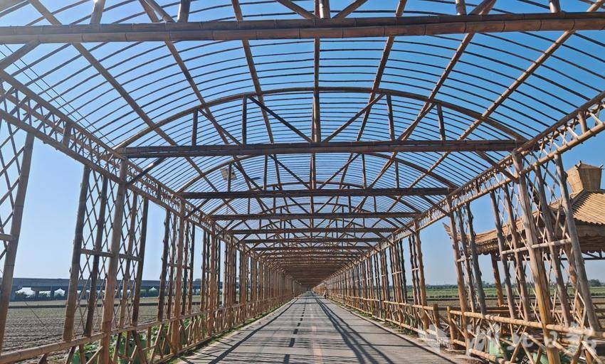 三路并进 蔬写未来：嘉鱼谱写蔬菜产业高质量发展新篇章(1).docx