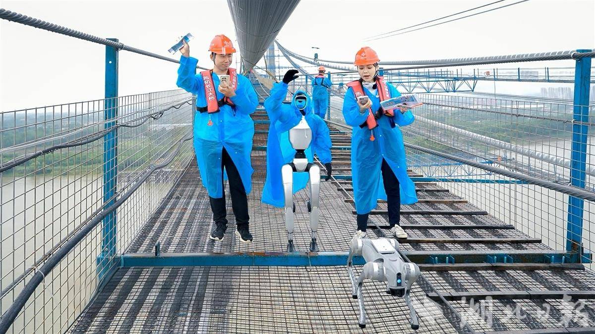 主持人带着人形机器人做直播。通讯员陆落义摄