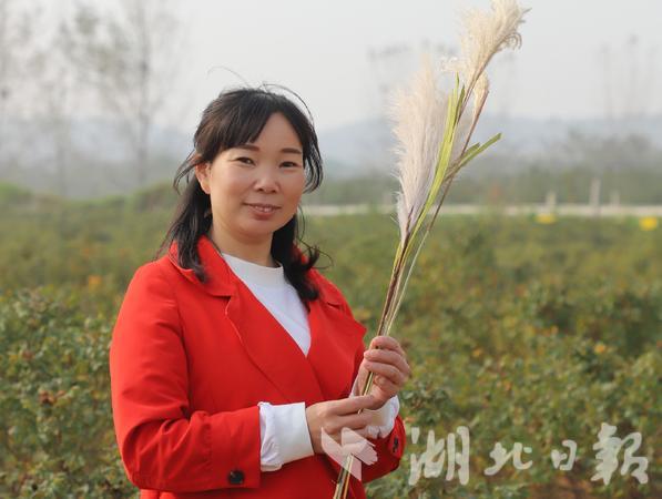 云梦县医疗保障局医保服务中心综合股副股长
