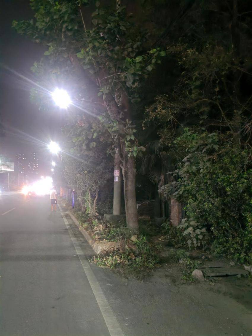 路口新添“守护灯”，照亮居民安全行.docx