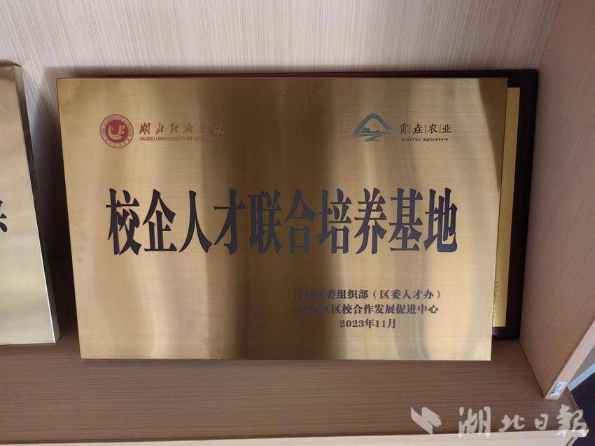 霄垚直播.docx