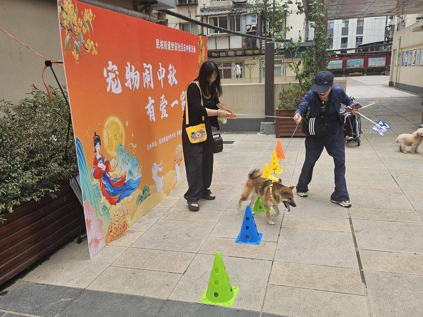 “宠”爱有“约”，共商共治打造文明养宠和谐社区.docx