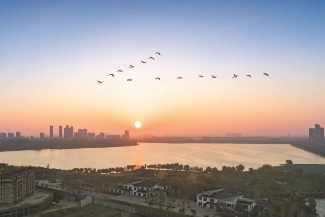 2阿明 临皋春晓 (27).jpg