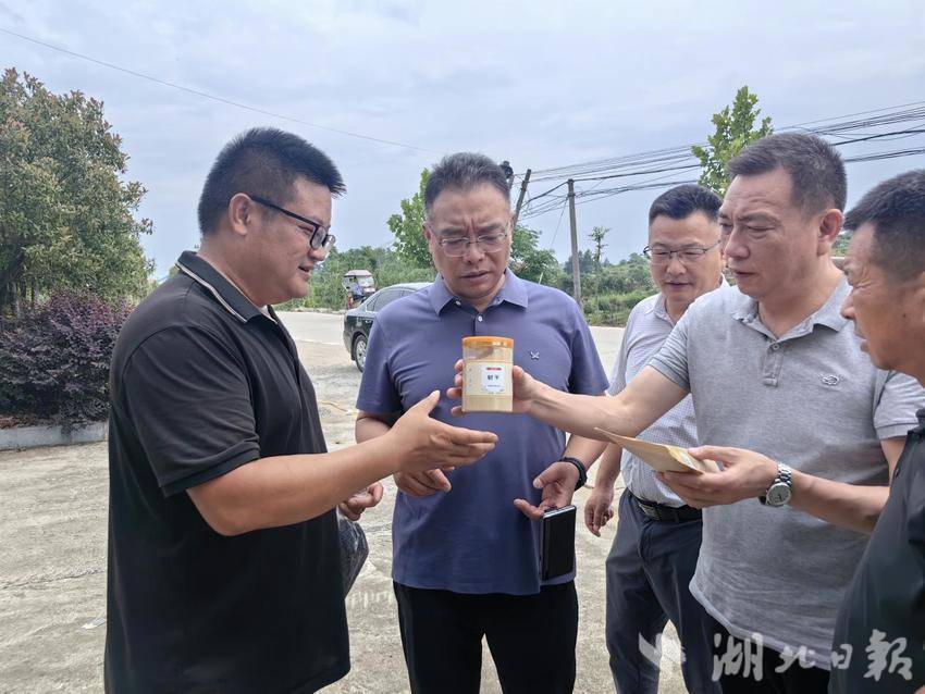 假期不停工 一线强督导 实干争先保发展.docx