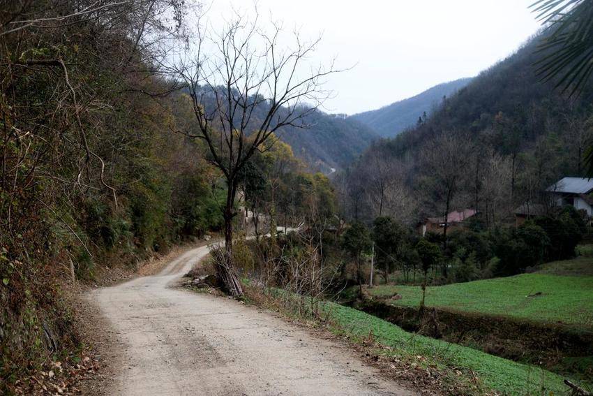 公益力量激活山村（定稿子）.docx