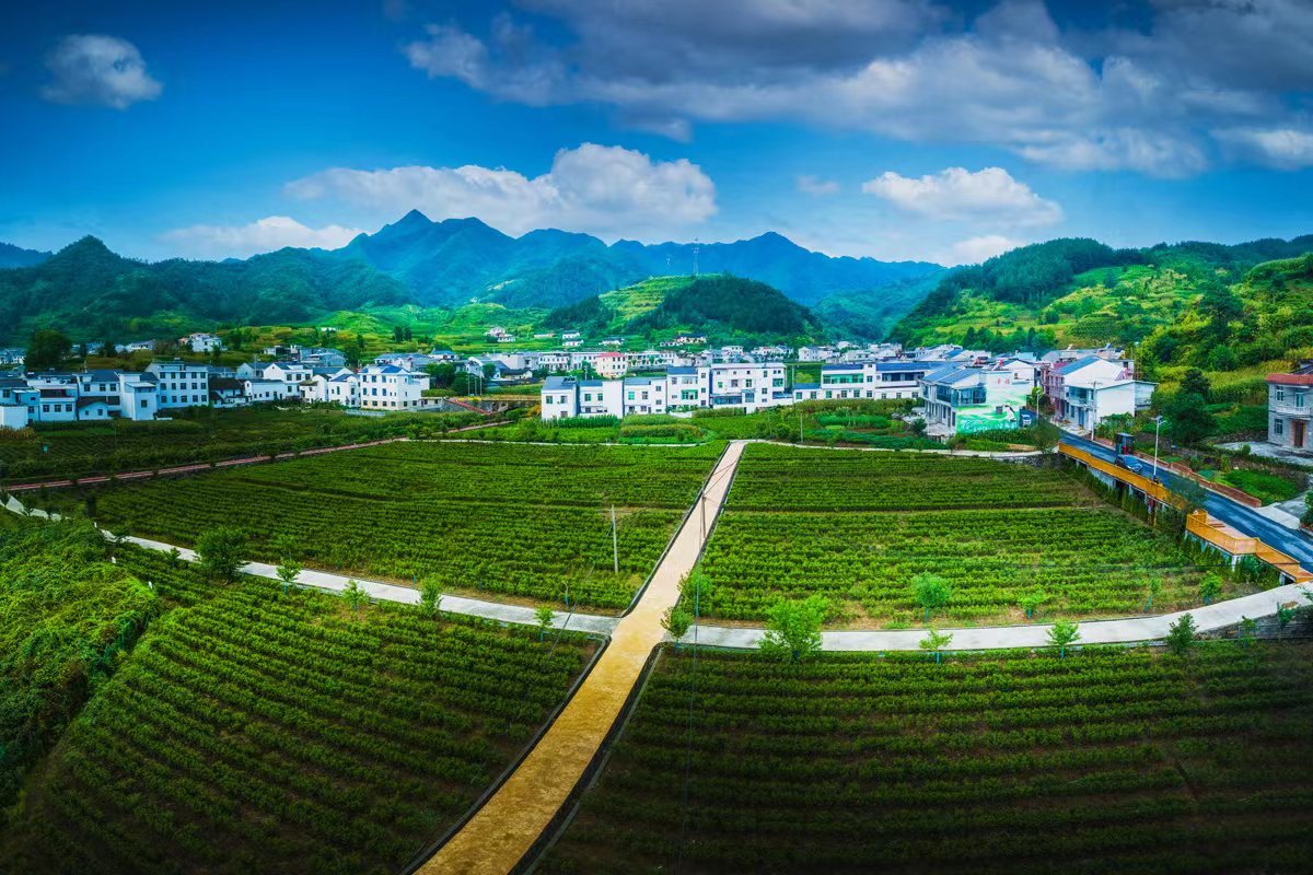 岳王庙村产业基地