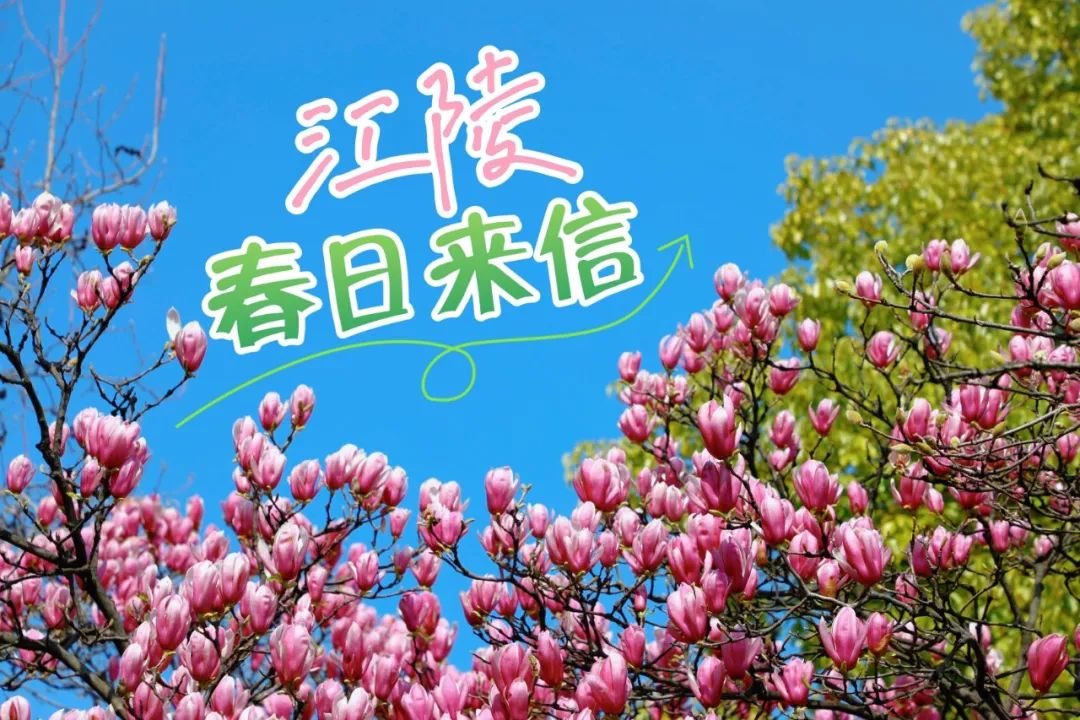 3月18日(7).jpg