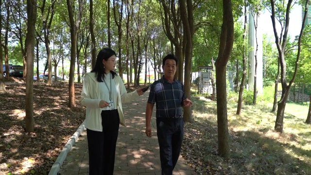 助力“文化名区”战略 五里界春申文化大公园展露新颜