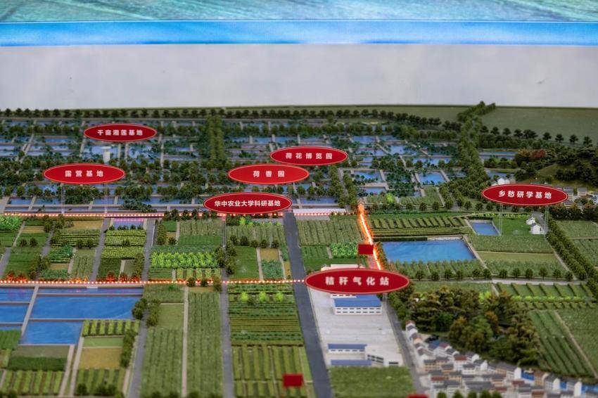 （修改）华中农业大学学子深入党员干部教育基地：党建引领，勇毅前行.docx
