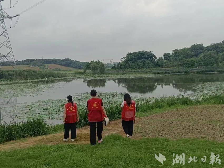 微信图片_20260603165313_193_5.jpg