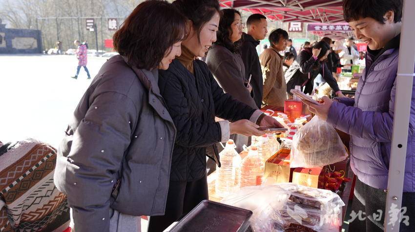 “红润清水湾·助农拓新篇”活动启幕 五峰清水湾村以文旅融合激活乡村振兴新动能(图9)