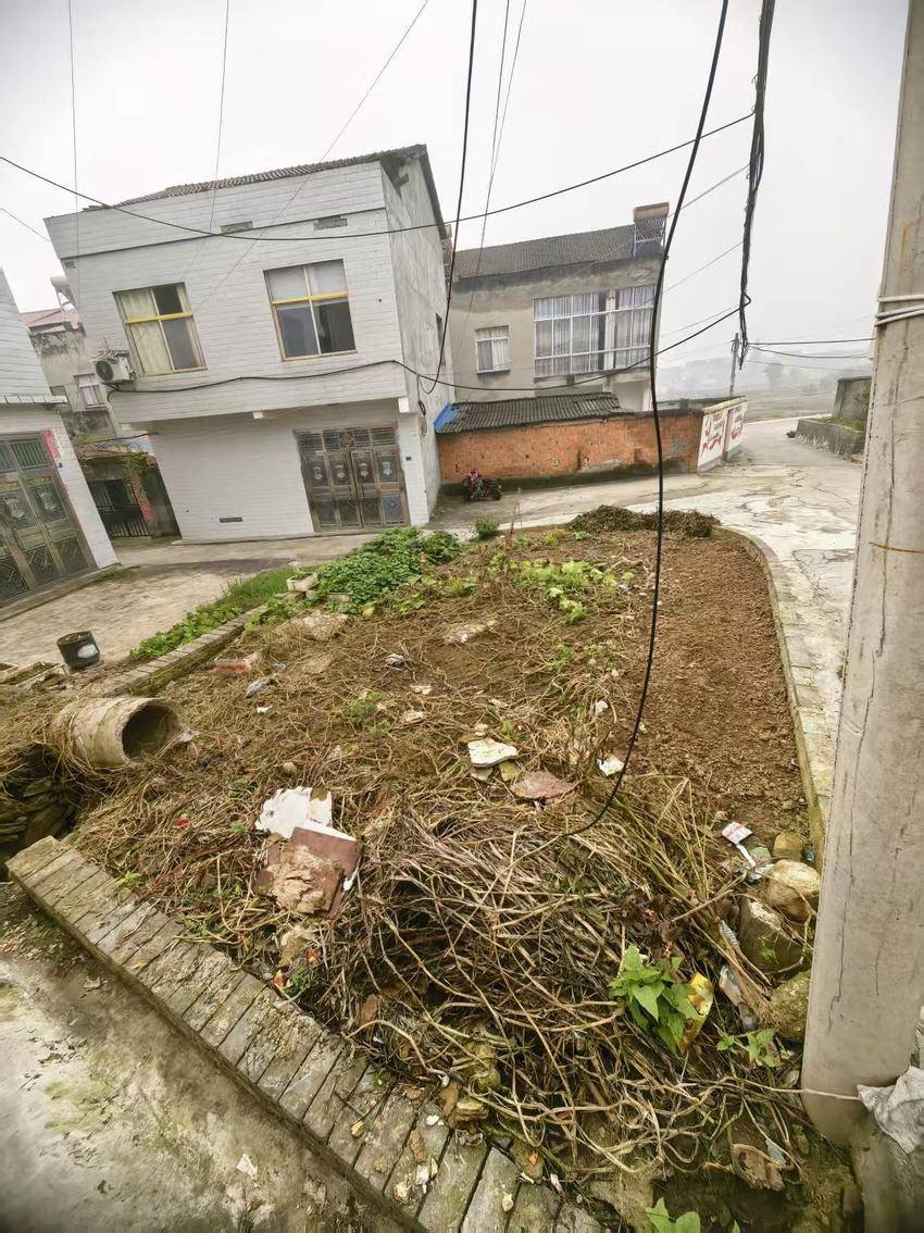 40㎡空地“逆袭”！谷城石花镇西河社区“闲置角”变身居民“心头好” - 湖北日报新闻客户端