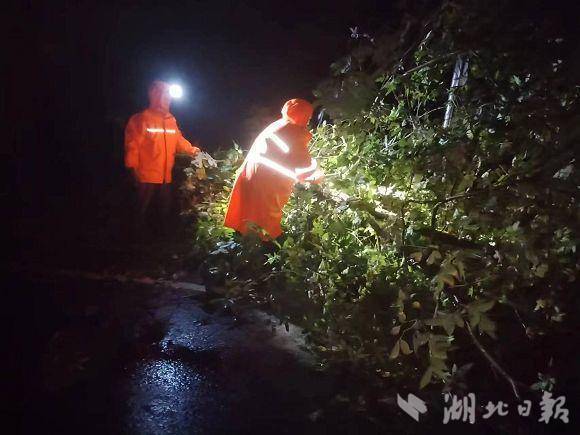 狂风暴雨夜：广水交警除险保安全
