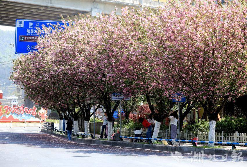 IMGL8254_副本_副本.jpg IMGL8254_副本_副本.jpg