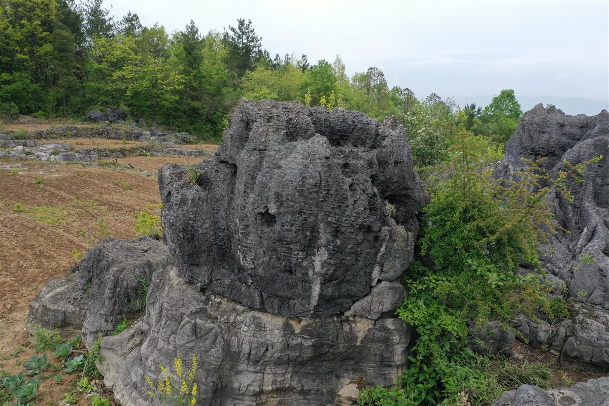 据三堡垭村干部介绍,全村地下大小溶洞有100多个.