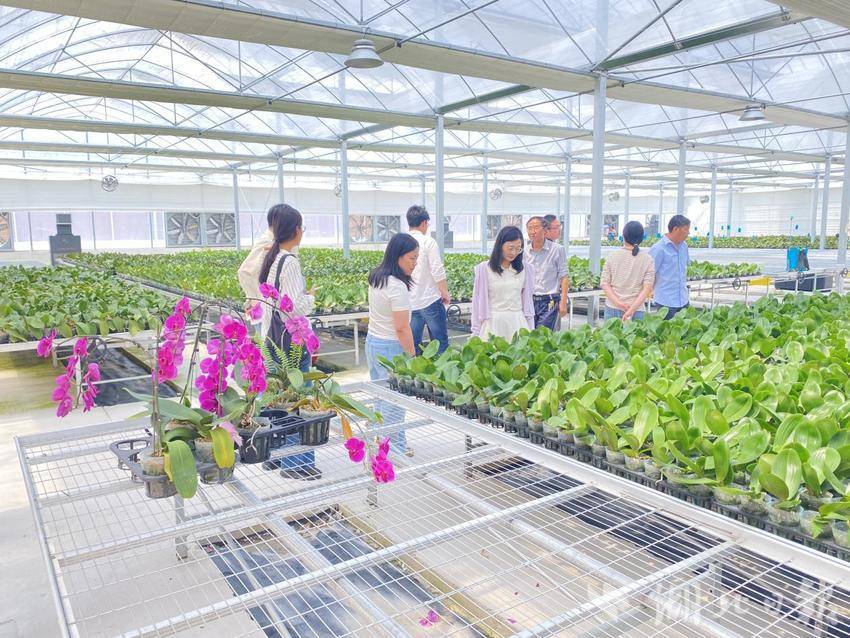 2025年麻城市委党校第一期主体班学员到宋埠镇开展推进乡村振兴与农业农村现代化专题调研新闻报道.docx