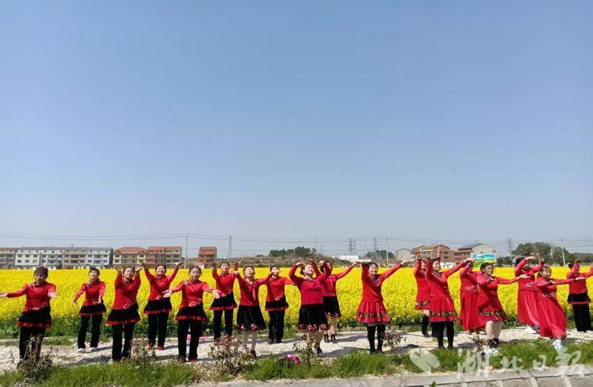 四望油菜花盛开.docx