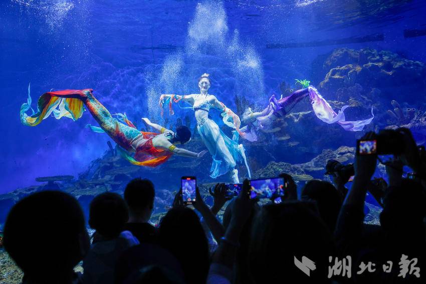 武汉极地端午掀起国风热潮 湖北日报新闻客户端 