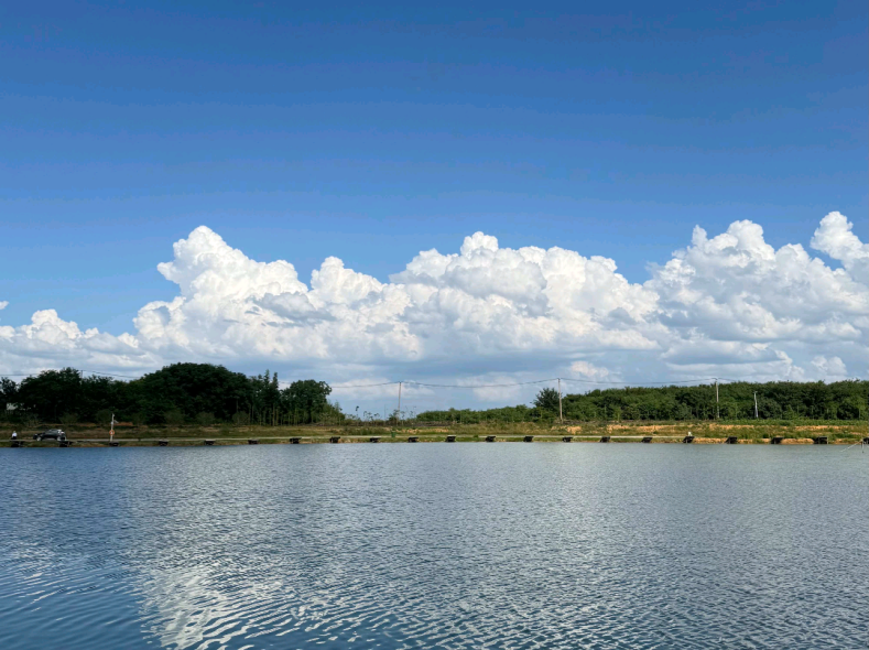 零点艺术农场.docx