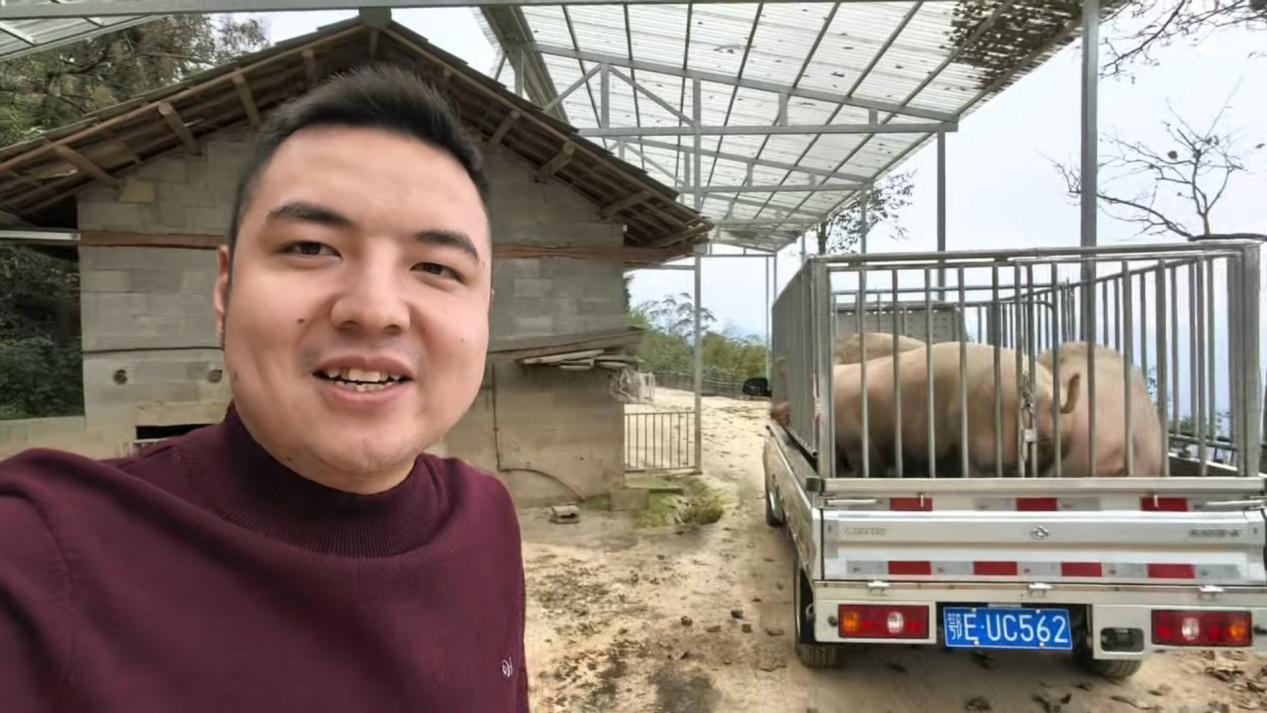 跑山猪进城热销 生态美味受追捧图文.docx