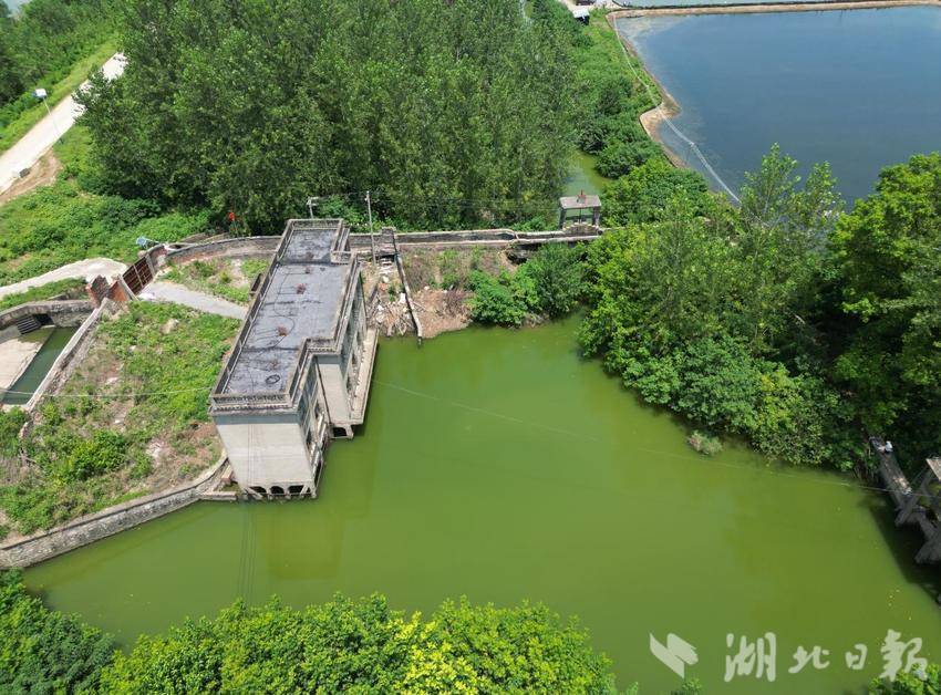 应城梅港村：芦荡深处，赤色永存.docx