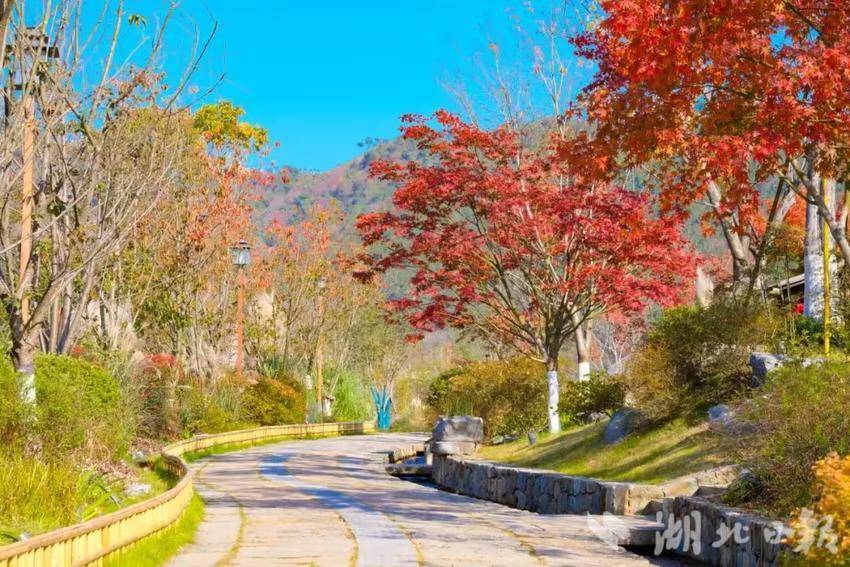 问梅村