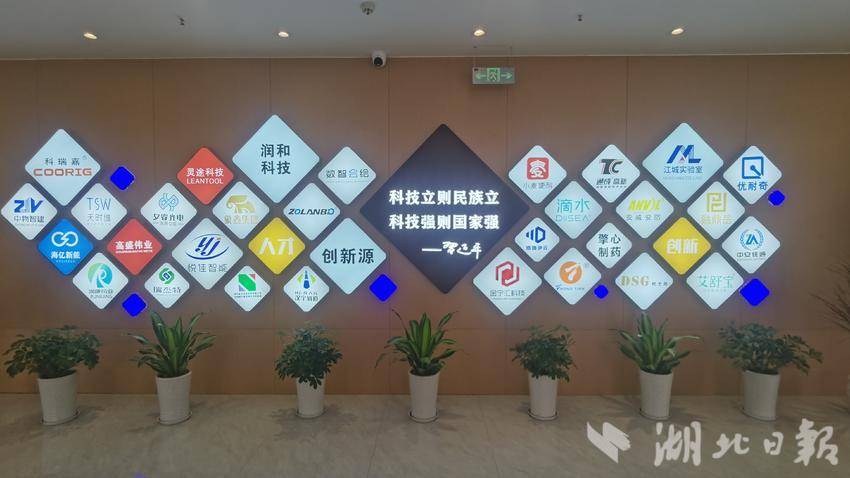 咸宁（武汉）离岸科创园部分入驻企业和机构。