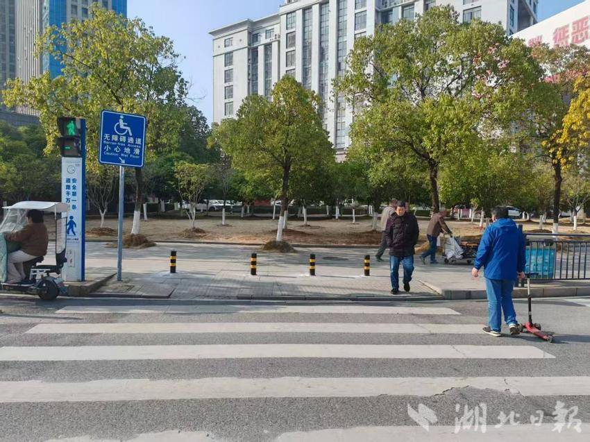 罗家桥街道：安装障碍柱，为安全加分.docx