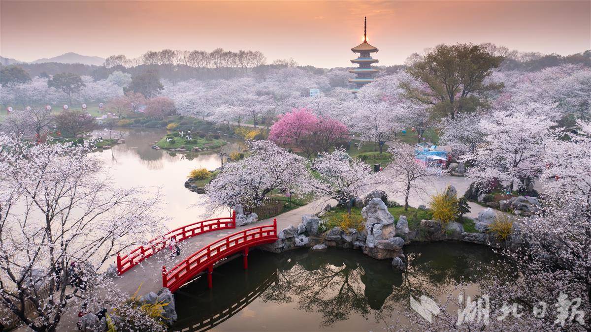 东湖樱花园 方瑞.jpg