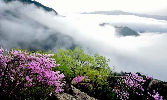 揭秘《西游记》“花果山”原型——武穴太平山( 图文).docx