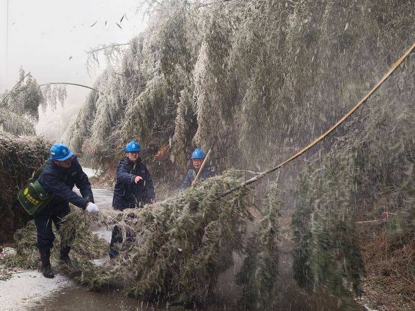 1月20日，国网崇阳县供电公司员工雪后对10千伏梅花线开展特巡，确保电网安全运行。（丁小波）