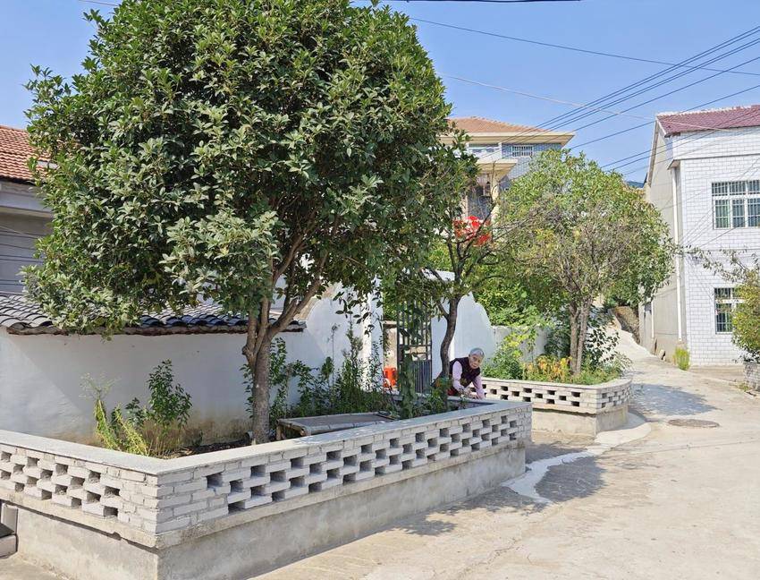 榨刺垴湾新建的小三园