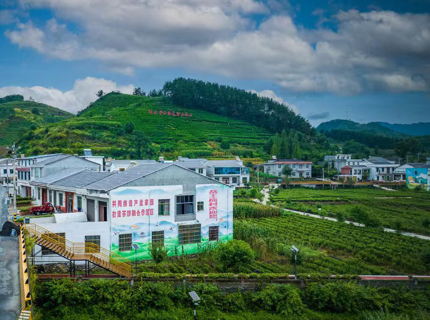 秀美乡村岳王庙村