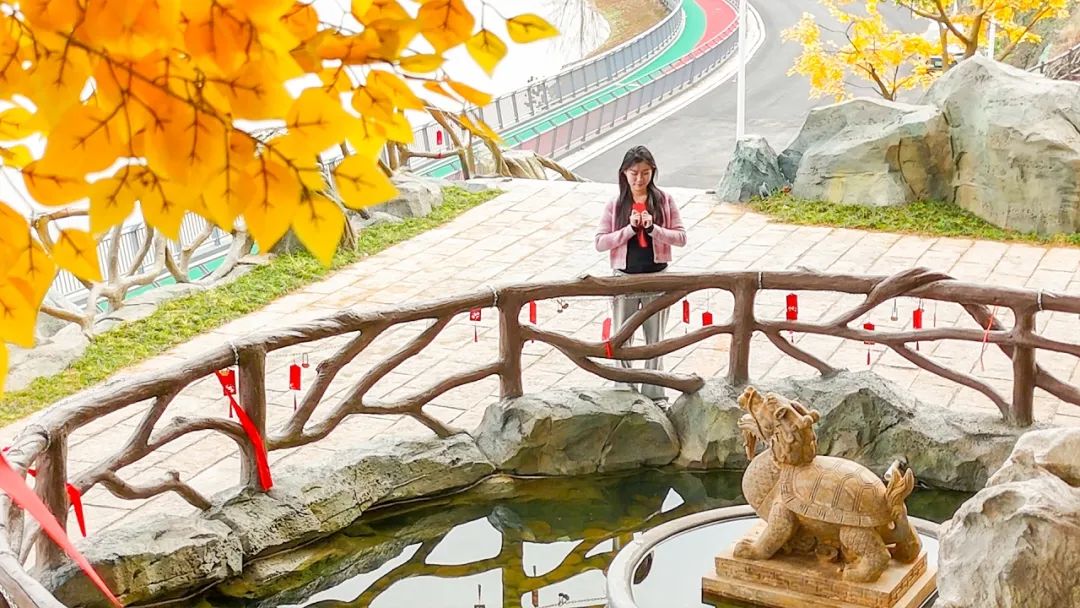 许愿树1.jpg