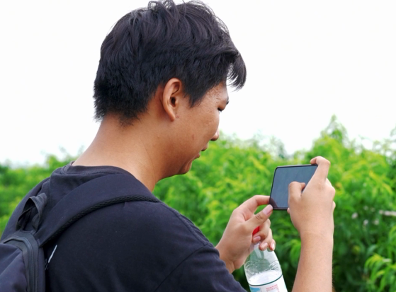 参与活动的学生正在桃林间拍摄胭脂红鲜桃趣味视频