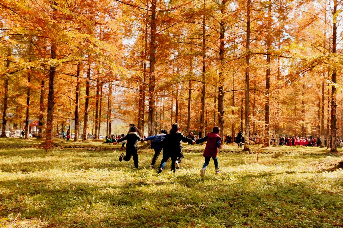 奔跑吧！孩子们！（小河水杉树公园）