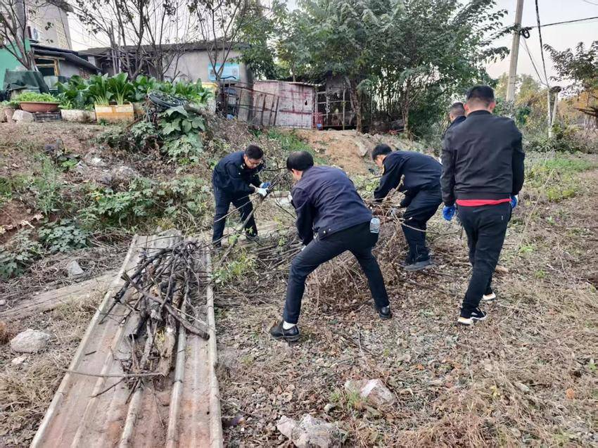 罗家桥街道开展“三小一堆”治理(1).docx