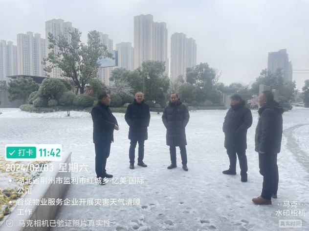 市住建局全力以赴应对雨雪冰冻.docx