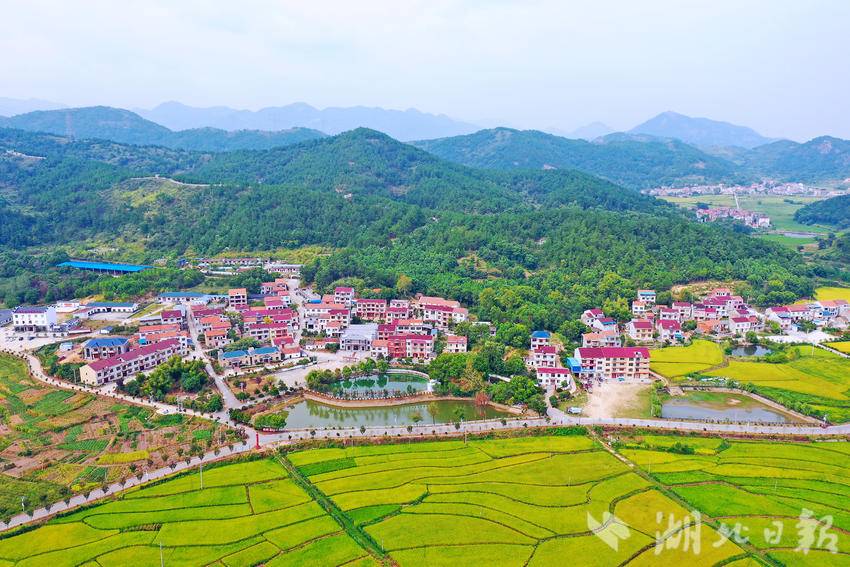 日新月异养马岭村