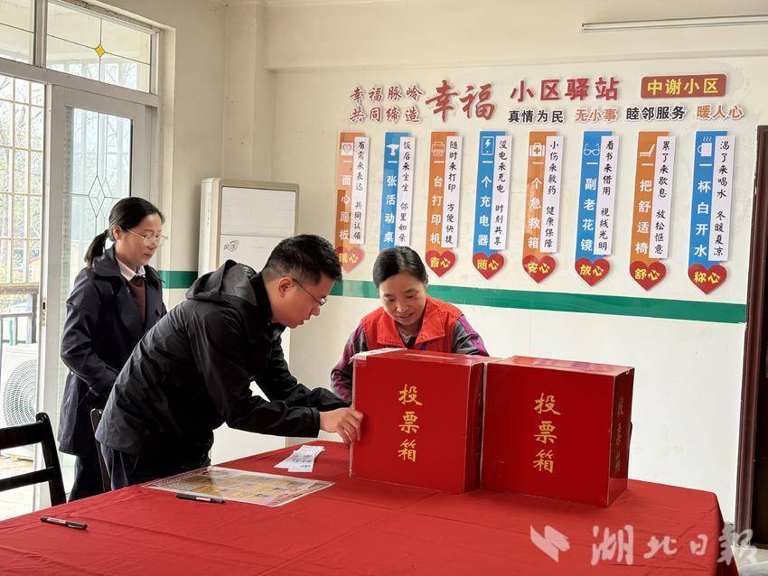 庙岭镇中谢小区成功召开首届业主大会并成立业委会 - 湖北日报新闻客户端