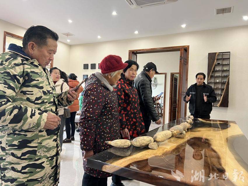 武汉蔡甸惊现3.23米长“藕王” 有望刷新吉尼斯纪录.docx