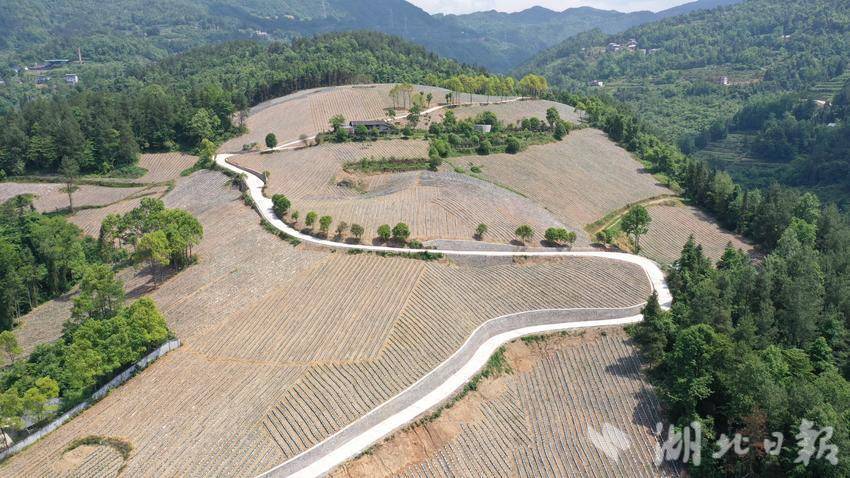 珠山镇全域国土综合整治项目高标准农田