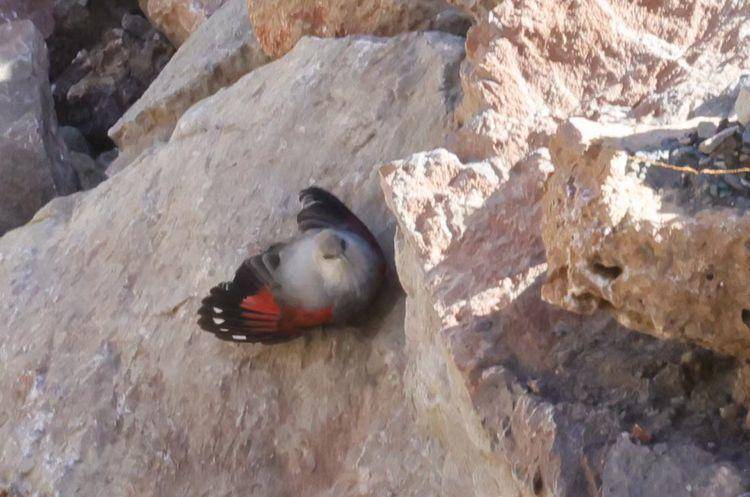 北緯31秘境檔案黑美20251216090346.docx