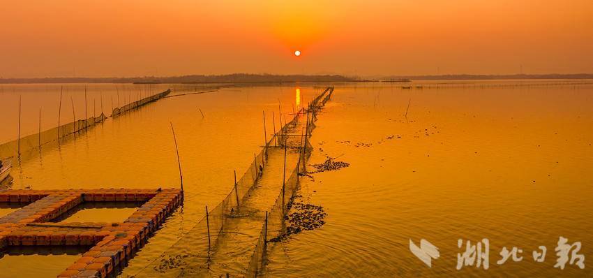 嘉鱼蜜泉湖鱼跃人欢(1).doc