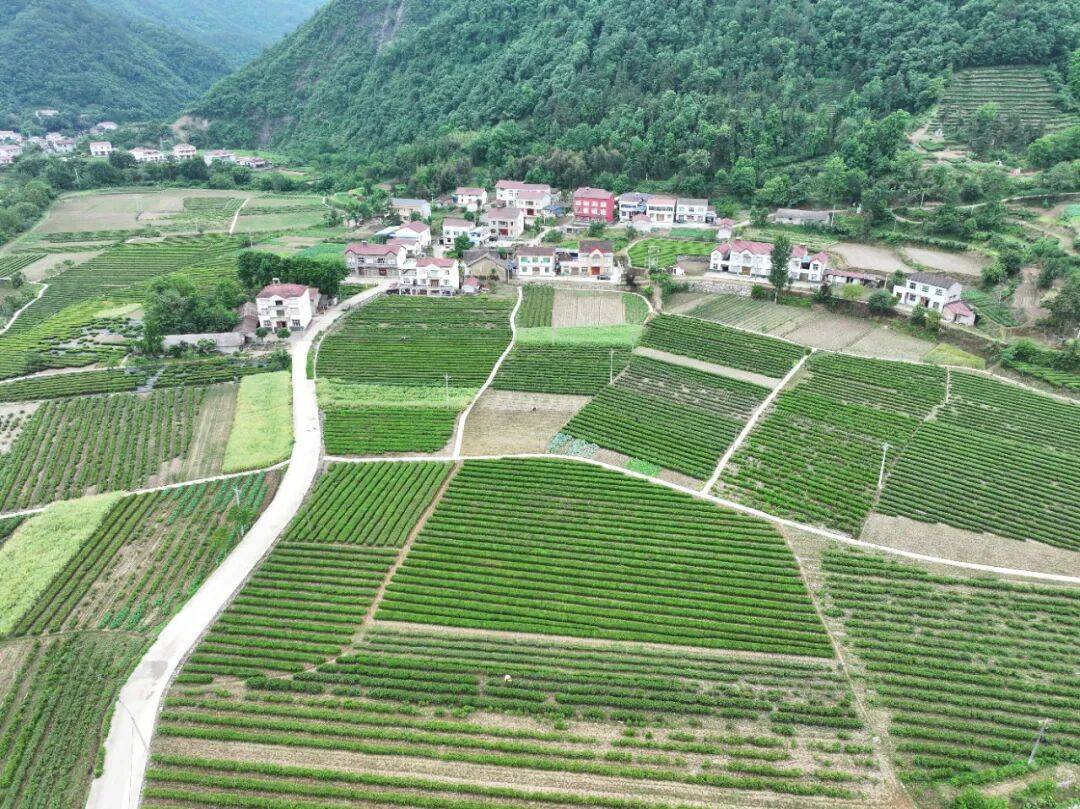 DJI_20260508152146_0088_D.JPG