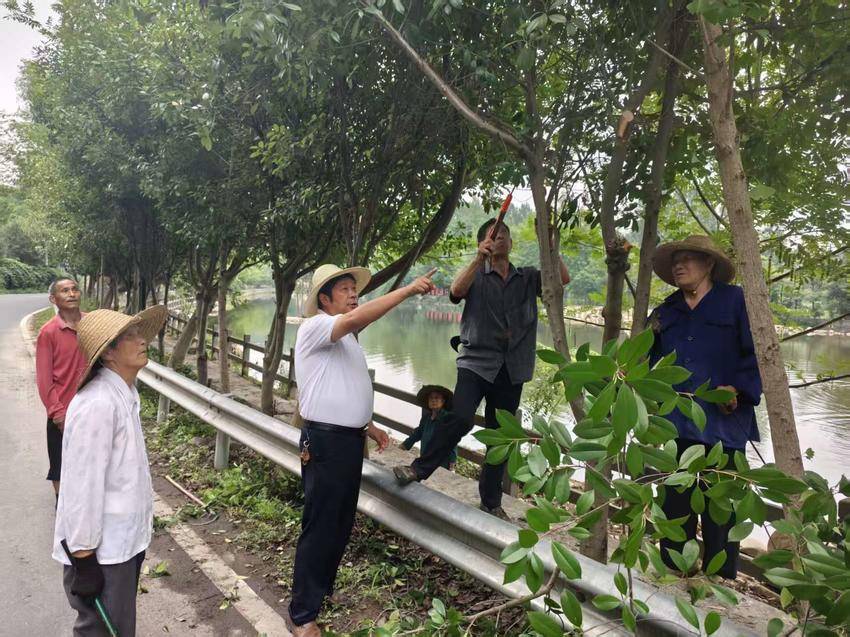 闵洪艳和村民一起修剪村口的行道树。（受访者供图）